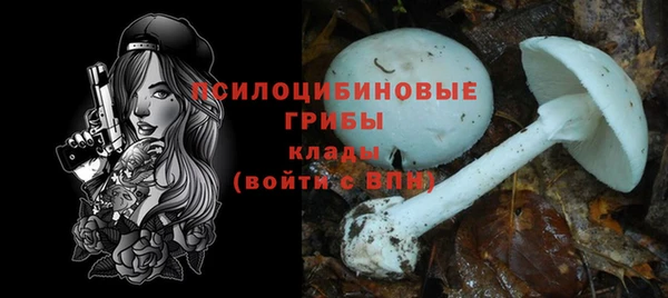 бутират Алзамай
