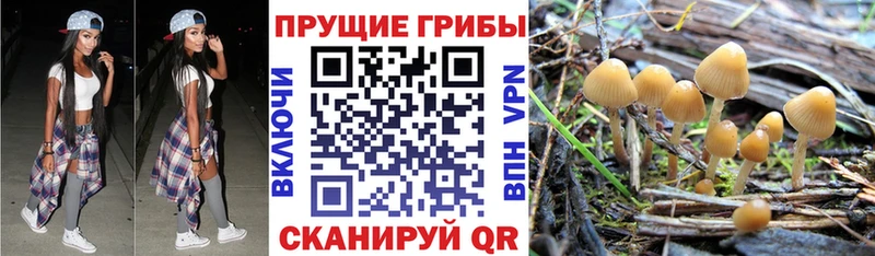 Галлюциногенные грибы ЛСД  кракен рабочий сайт  Уяр  где продают  